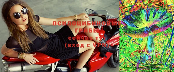 спиды Армянск