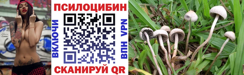 Псилоцибиновые грибы ЛСД  Дзержинск 